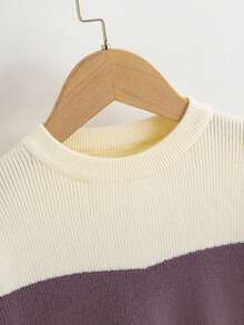 SHEIN Cô Gái Trẻ Khối màu Áo len - Nhiều màu - Xem 5