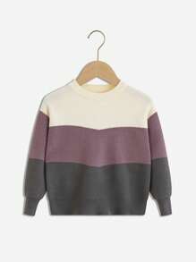 SHEIN Cô Gái Trẻ Khối màu Áo len - Nhiều màu - Xem 1