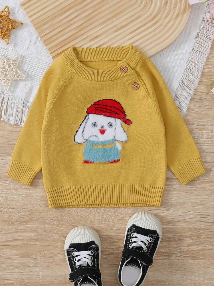 Baby Boy Cartoon Graphic Button Detail Raglan Sleeve Sweater