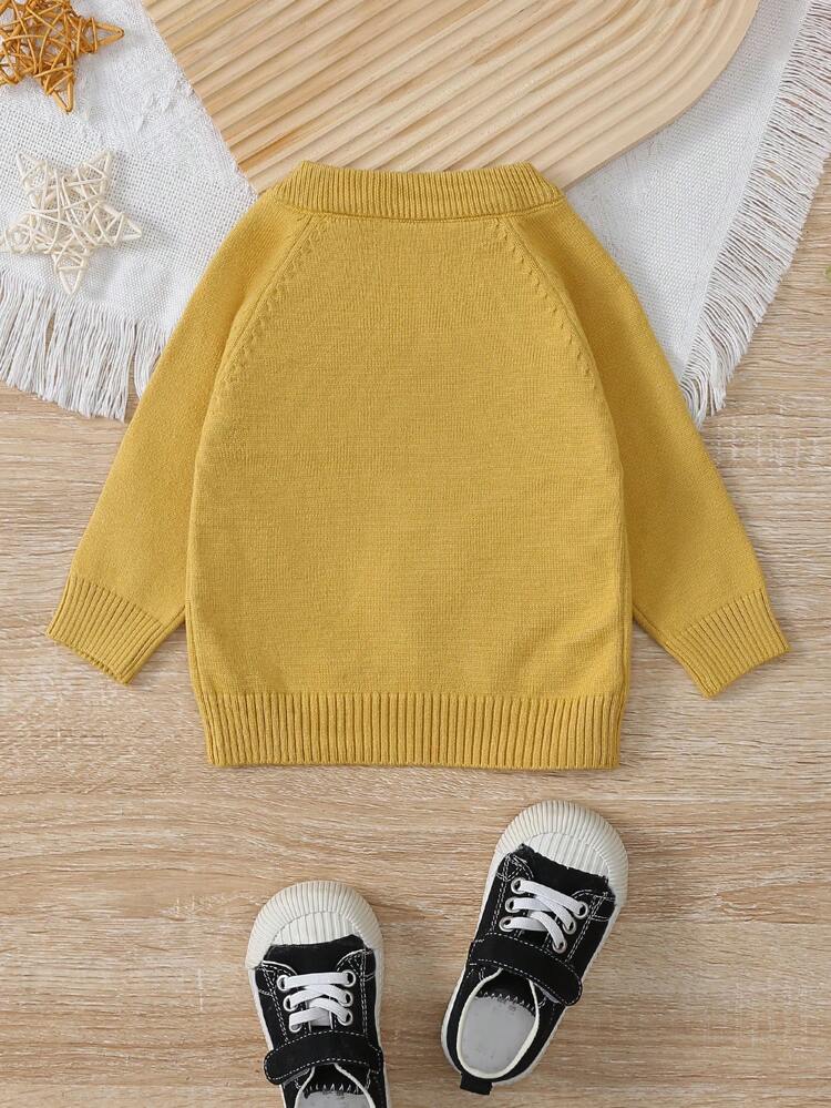 Baby Boy Cartoon Graphic Button Detail Raglan Sleeve Sweater