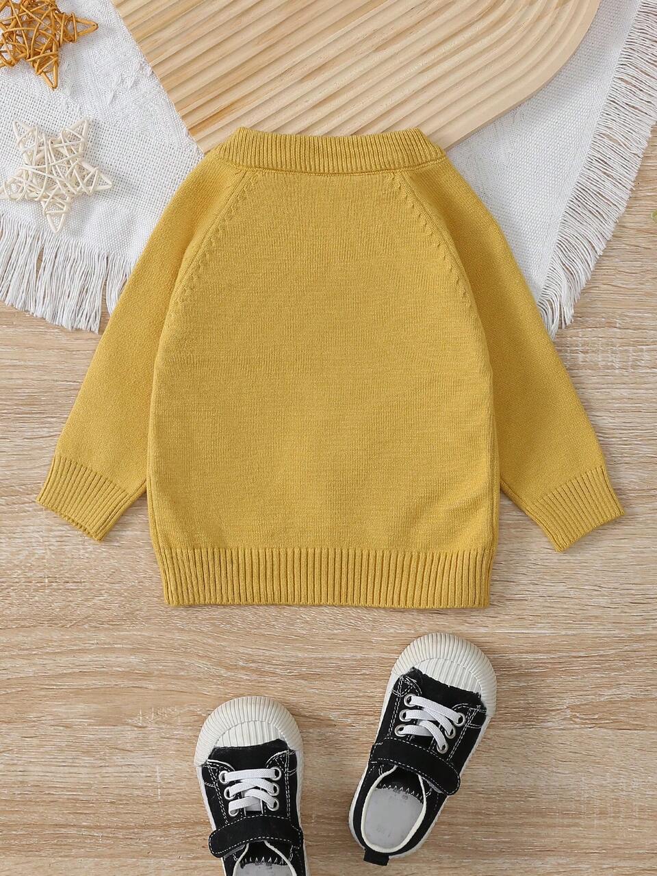 Baby Boy Cartoon Graphic Button Detail Raglan Sleeve Sweater