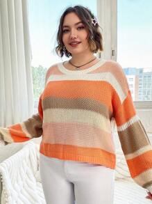 Flirla Plus Colorblock Drop Shoulder Sweater