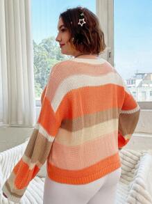 Flirla Plus Colorblock Drop Shoulder Sweater