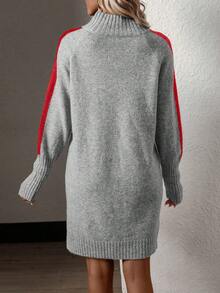 SHEIN LUNE Tương phản Đường may bên Tay Raglan Đầm Áo len - Màu Xám nhạt - Xem 2