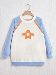 SHEIN EZwear Plus Pull Motif Étoile À Blocs De Couleurs Manches Raglan - Multicolore - Voir 1