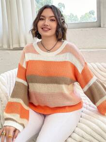 Flirla Plus Colorblock Drop Shoulder Sweater