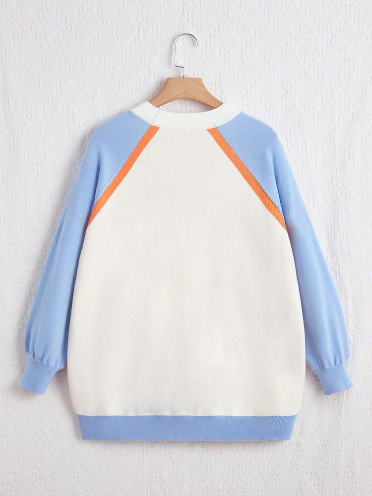 Plus Star Pattern Colorblock Raglan Sleeve Sweater
