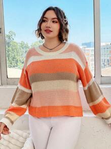 Flirla Plus Colorblock Drop Shoulder Sweater