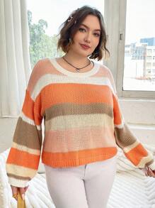 Flirla Plus Colorblock Drop Shoulder Sweater