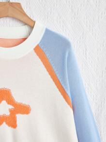 SHEIN EZwear Plus Pull Motif Étoile À Blocs De Couleurs Manches Raglan - Multicolore - Voir 4