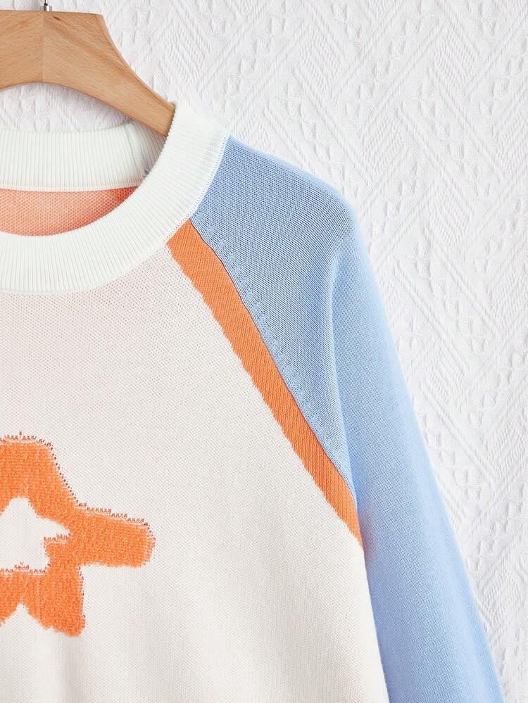 Plus Star Pattern Colorblock Raglan Sleeve Sweater