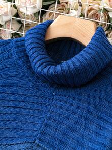 SHEIN LUNE Hơn Khối màu Cổ áo cao Thả vai Áo len - Màu xanh lam - Xem 5