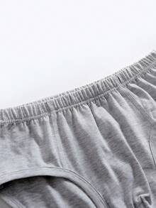 Young Boy 4pcs Solid Brief - Multicolor - View 3