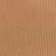 Coral Orange