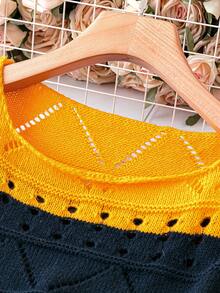 SHEIN LUNE 大碼撞色網眼針織套頭毛衣 - 彩色 - 查看 5