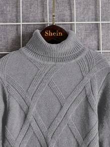 SHEIN Leap Crew 男大童高領條紋針織套頭毛衣