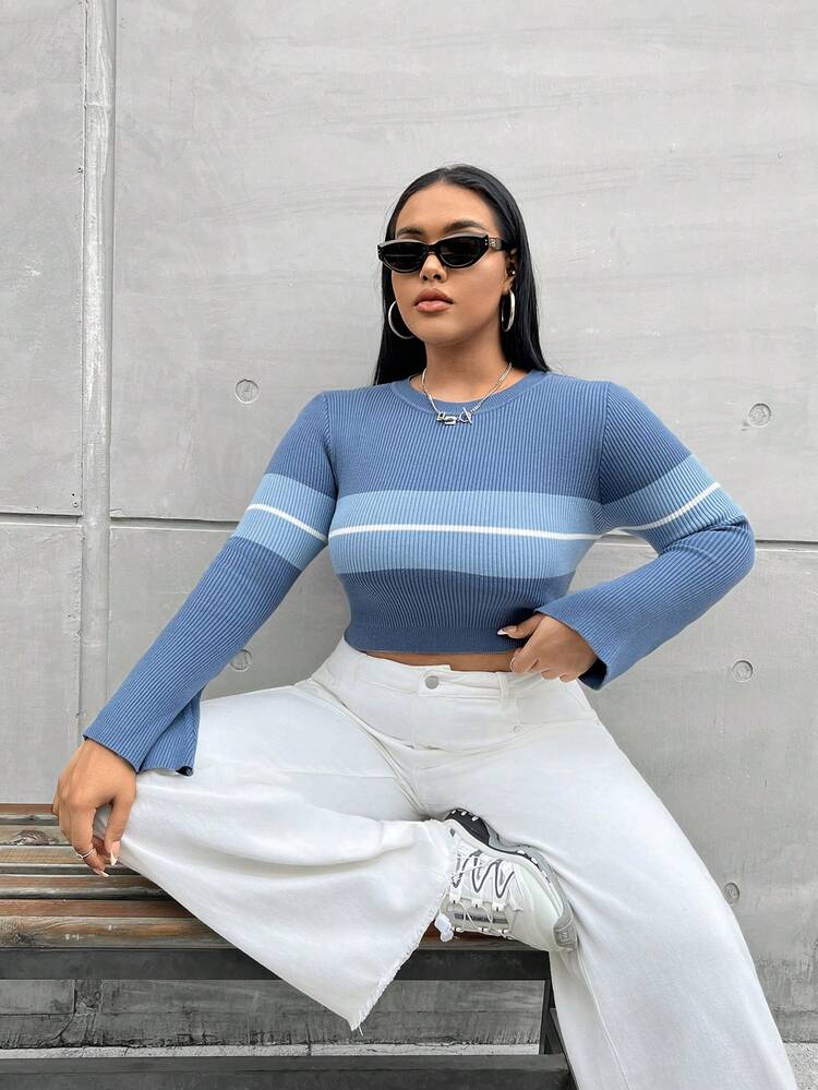 Plus Striped Pattern Colorblock Crop Sweater Knit Pullover Fall Winter Sweater