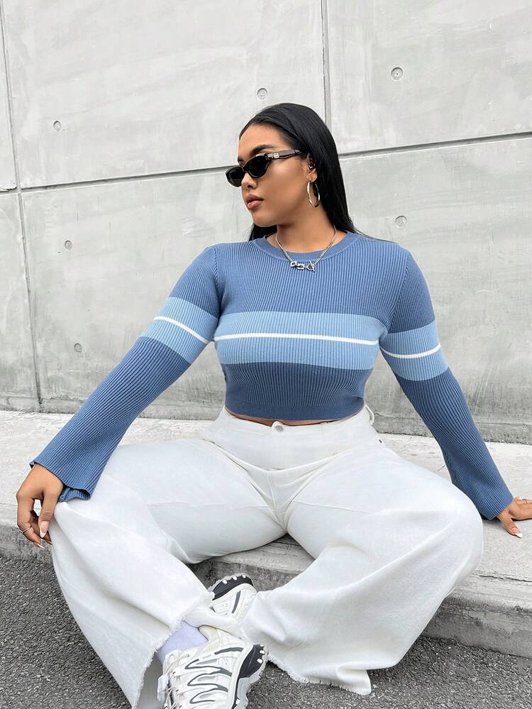 Plus Striped Pattern Colorblock Crop Sweater Knit Pullover Fall Winter Sweater