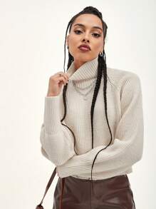 DAZY High Neck Raglan Sleeve Sweater,Fall Women Clothes Crop Women Tops