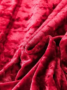 SHEIN Clasi Plus Tie Front Velvet Shirt - Burgundy - View 4