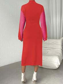 SHEIN Essnce Two Tone Turtleneck Sweater Dress Without Belt - Multicolor - View 2