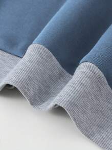 Manfinity Dauomo Men Colorblock Raglan Sleeve Drawstring Thermal Lined Hoodie