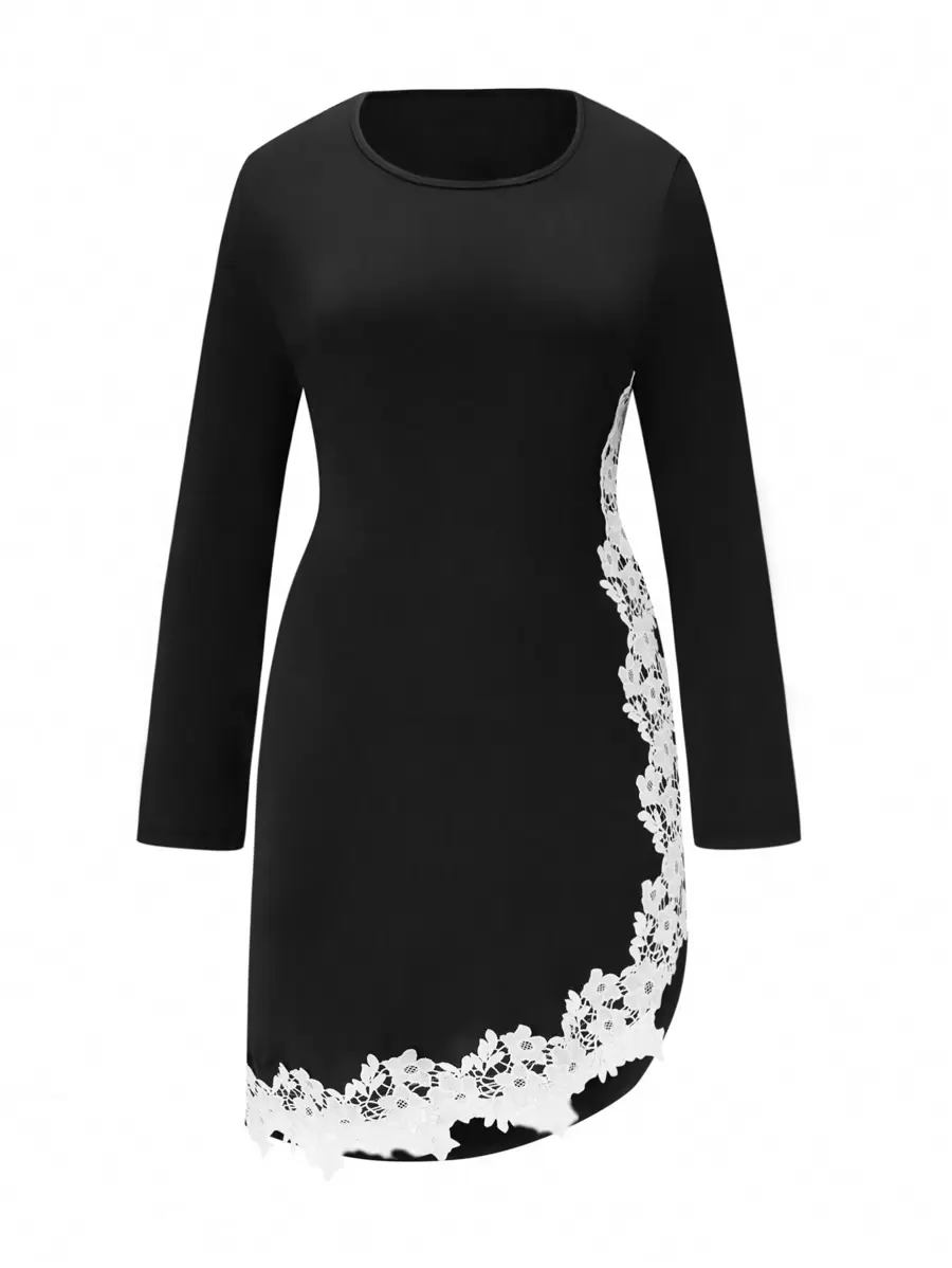 SHEIN Clasi Plus Contrast Lace Asymmetrical Hem Dress Fall Cloth For Women - Black - View 1