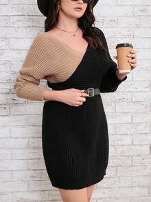 SHEIN LUNE 大碼雙色蝙蝠袖毛衣洋裝不附腰帶 - 彩色 - 查看 4