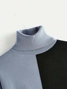 SHEIN BASICS Two Tone Turtleneck Drop Shoulder Sweater - Multicolor - View 7