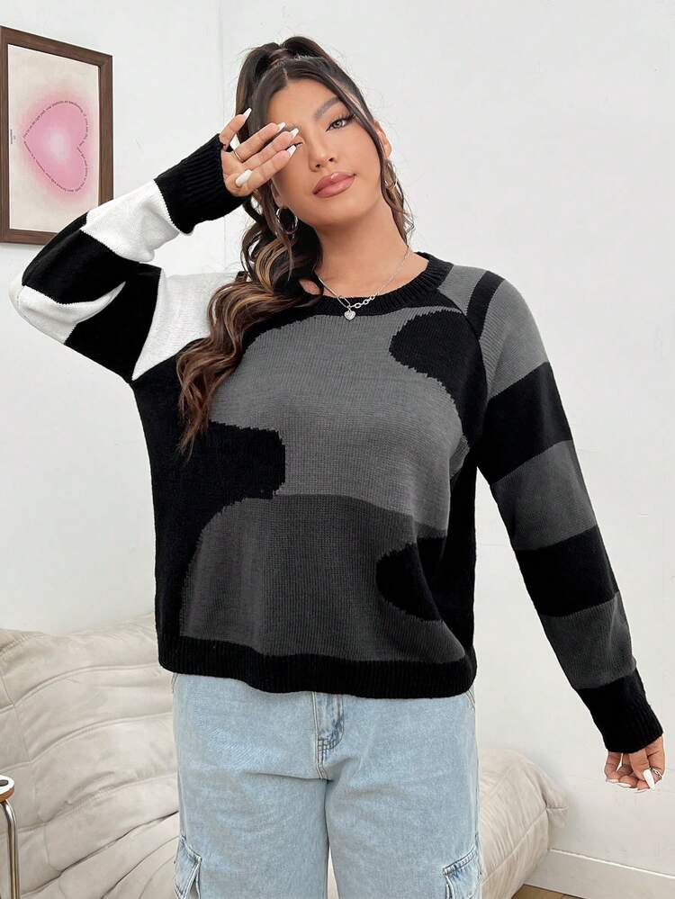Plus Size Women'S Color Block Raglan Sleeve Pullover Sweater