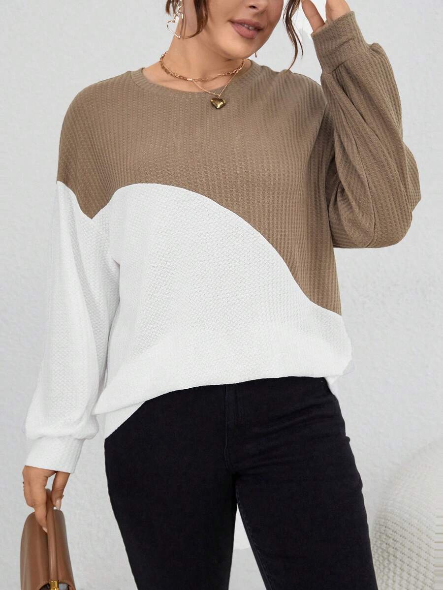 SHEIN LUNE Hơn Hai âm Thả vai Dệt kim Waffle Áo nỉ - Nhiều màu - Xem 1