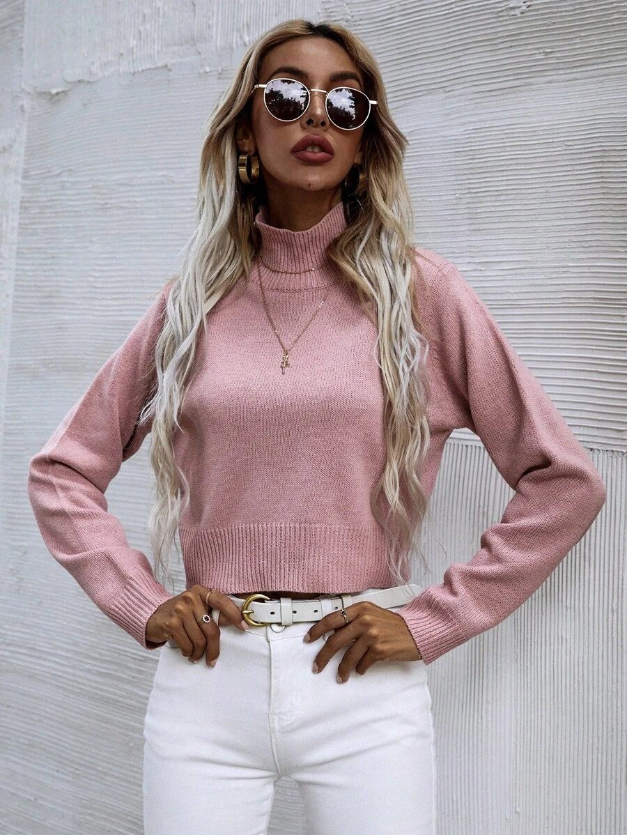 SHEIN LUNE High Neck Solid Sweater - Pink - View 1