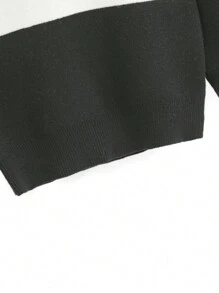 SHEIN Chàng trai trẻ Đồ họa khủng long Khối màu Áo len - Nhiều màu - Xem 4