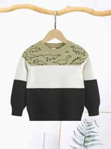 SHEIN Chàng trai trẻ Đồ họa khủng long Khối màu Áo len - Nhiều màu - Xem 1