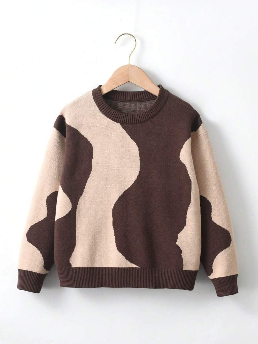 SHEIN Adolescent Garçon Pull Bicolore