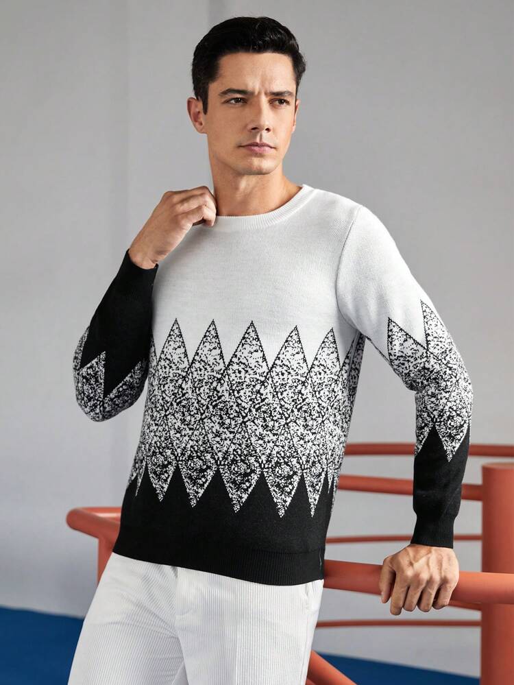 Men Geo Pattern Sweater