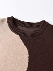 SHEIN Adolescent Garçon Pull Bicolore