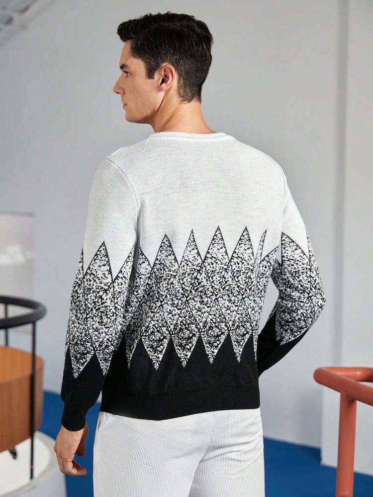Men Geo Pattern Sweater