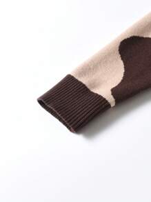 SHEIN Adolescent Garçon Pull Bicolore