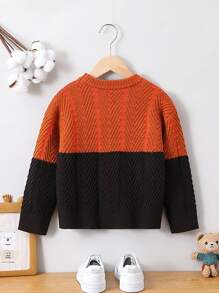 Young Boy Two Tone Drop Shoulder Sweater - Coffee Brown - View 2