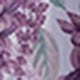 紫色