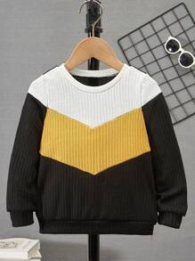 SHEIN Young Boy Color Block Sweatshirt - Multicolor - View 1