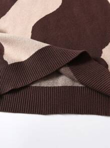 SHEIN Adolescent Garçon Pull Bicolore