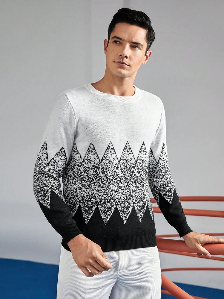 Men Geo Pattern Sweater