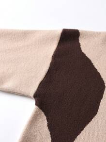 SHEIN Adolescent Garçon Pull Bicolore