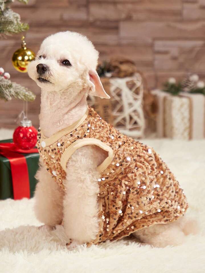 Rose gold dog dress sales