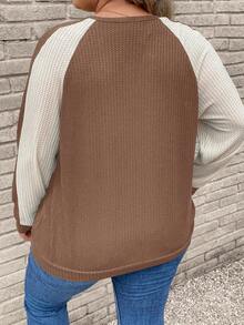 SHEIN LUNE 大碼撞色插肩袖運動衫 - 棕色 - 查看 3