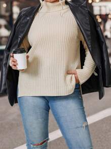 SHEIN LUNE Plus Turtleneck Raglan Sleeve Split Hem Sweater