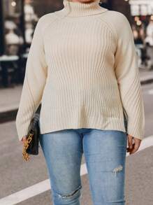 SHEIN LUNE Plus Turtleneck Raglan Sleeve Split Hem Sweater