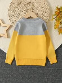 Young Boy Cartoon Graphic Two Tone Sweater - Multicolor - View 2